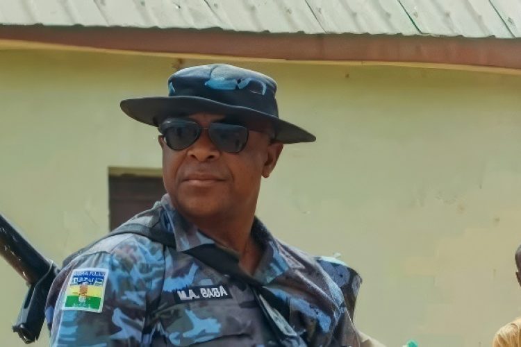 DPO Killed r7w0wlyfjmsj7orysy8wbnto4e374l1ym03j40c6bs DPO Killed